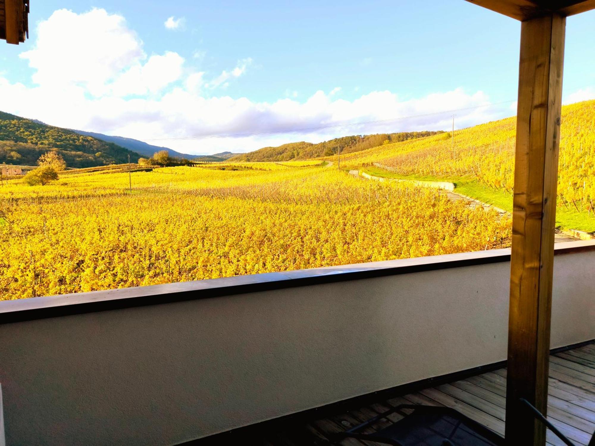 L'Horizon Lejlighed Bergheim Eksteriør billede